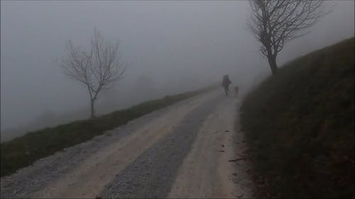 有关伴侣, 儿童, 冬季的免费素材视频