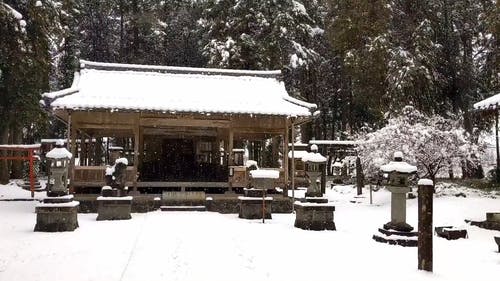 有关下雪, 冬季, 大雪的免费素材视频