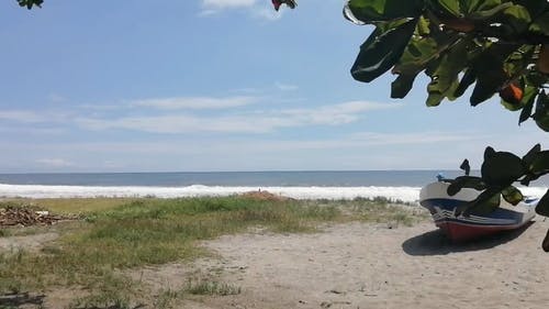 有关天性, 撞击波浪, 海滨的免费素材视频