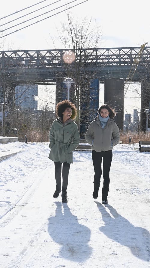 有关一起, 下雪的, 享受的免费素材视频