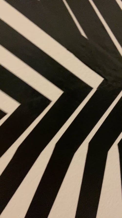有关bw, 垂直视频, 壁纸的免费素材视频
