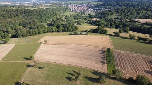 有关农业用地, 天性, 无人机视频的免费素材视频