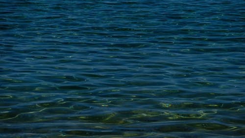 有关平静的水, 水波, 海的免费素材视频