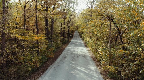 有关交通系统, 公路旅行, 巷道的免费素材视频