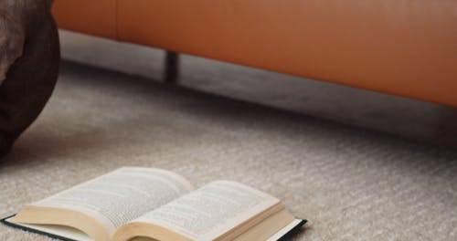 有关＃室内, 休息, 休闲装的免费素材视频