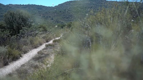 有关乡村小路, 天性, 小径的免费素材视频