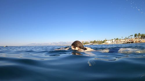 有关休闲, 假期, 健康的生活型态的免费素材视频