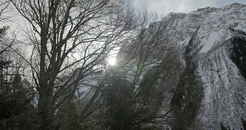 有关@户外, 下雪的天气, 冬季的免费素材视频