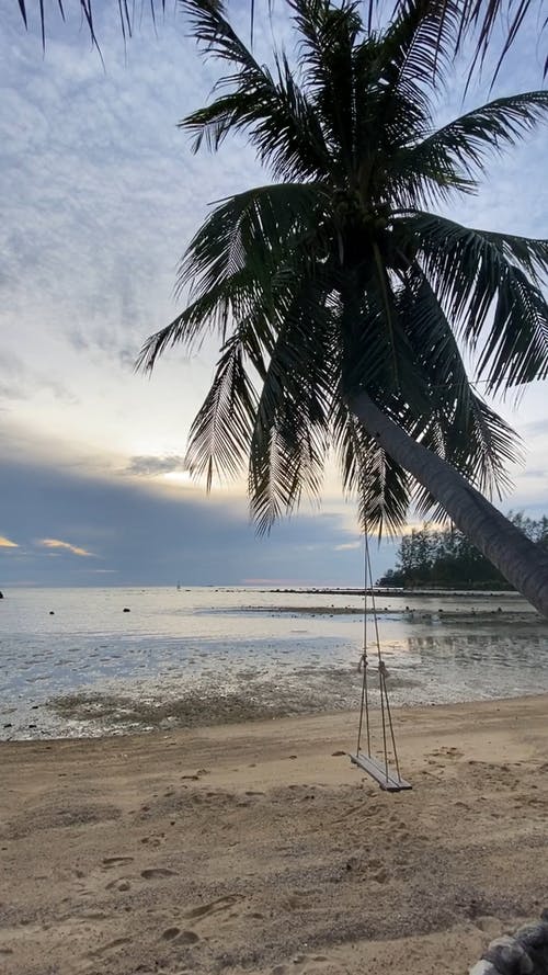 有关亚洲, 假日, 喜悦的免费素材视频