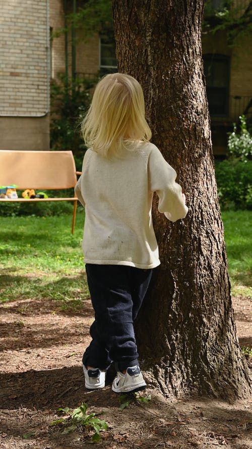 有关公园背景, 公园长椅, 可爱的免费素材视频