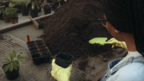 有关修剪花草, 园丁, 土的免费素材视频