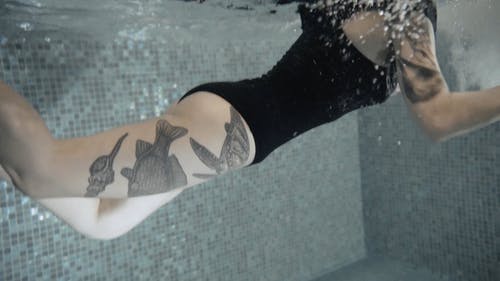 有关不露面, 刺青, 动物纹身的免费素材视频