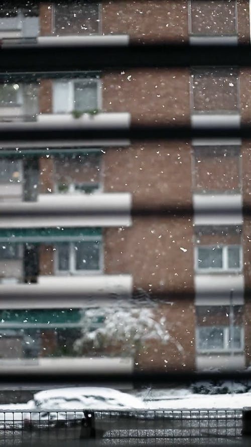 有关下雪, 冬季, 冷的免费素材视频