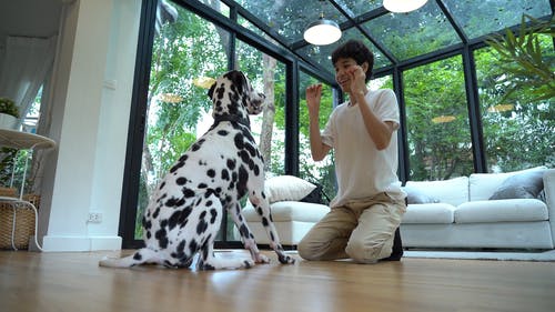 有关人, 伴侣, 家伙的免费素材视频