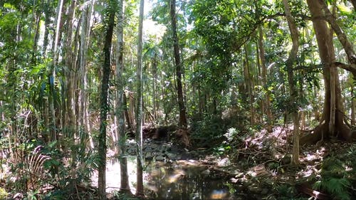 有关天性, 工厂, 布德林的免费素材视频