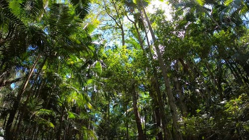 有关低角度拍摄, 布德林, 日光的免费素材视频