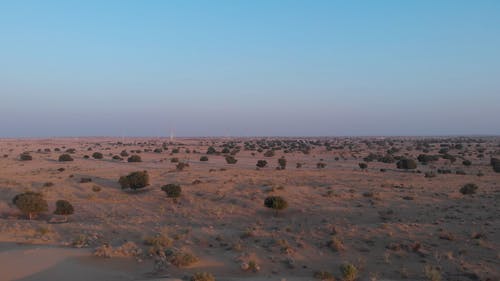 有关工厂, 树木, 沙漠的免费素材视频