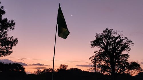 有关剪影, 多风, 巴西的免费素材视频