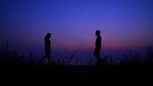 有关一对, 剪影, 天空的免费素材视频