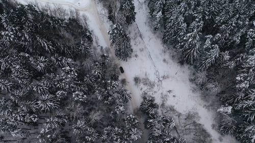 有关下雪的天气, 天性, 季节的免费素材视频