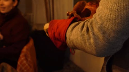 有关一家之主, 事件, 南瓜的免费素材视频