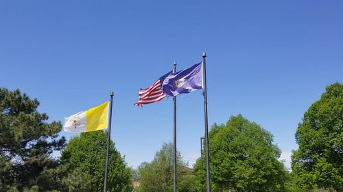 有关从下面看, 多风, 天主教的免费素材视频