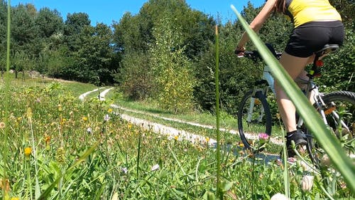 有关公园, 增长, 天性的免费素材视频