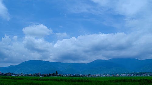 有关丘陵, 农业领域, 地平线的免费素材视频