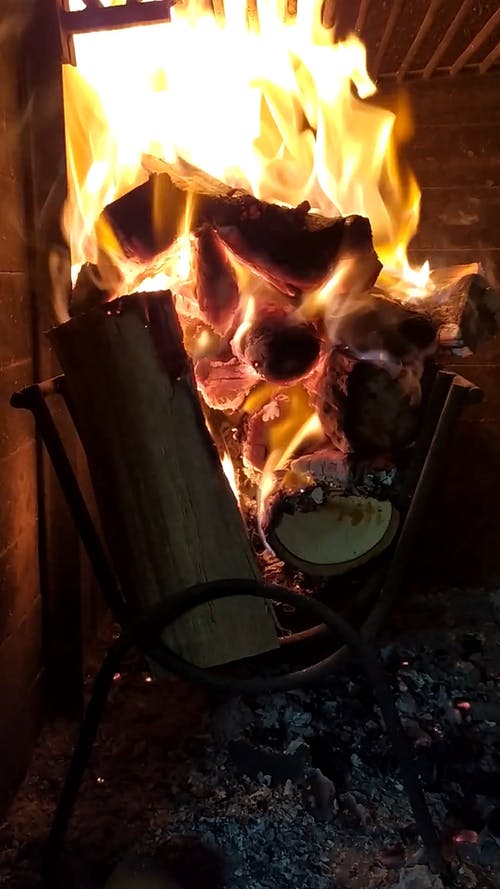 有关垂直视频, 森林, 火的免费素材视频