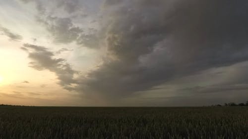 有关农业用地, 多云的, 天空的免费素材视频