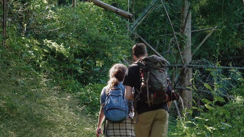 有关人, 冒险, 勘探的免费素材视频