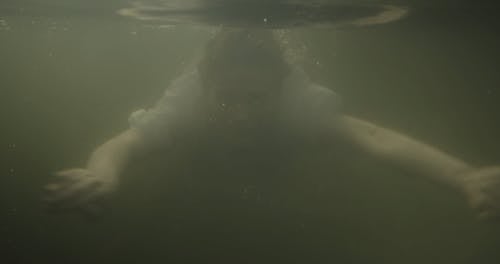 有关水, 水下, 游泳的免费素材视频