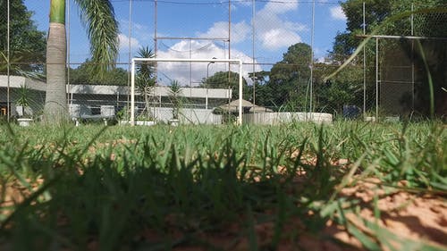 有关人, 家, 家园的免费素材视频