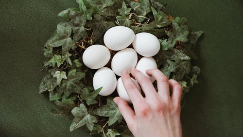 有关Flatlay, 主题, 头顶射击的免费素材视频