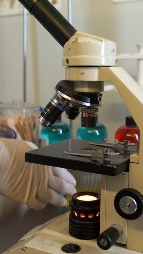 有关乳胶手套, 分析, 垂直视频的免费素材视频