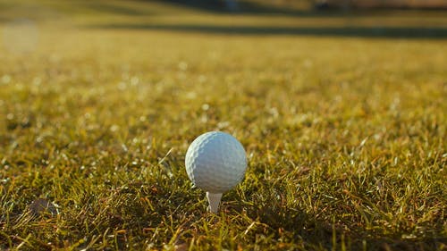 有关户外, 景观, 草的免费素材视频