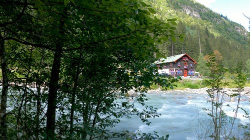 有关和平的, 天性, 工厂的免费素材视频