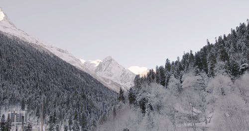 有关@户外, 下雪的天气, 冬季的免费素材视频