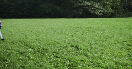 有关人, 公园, 天性的免费素材视频