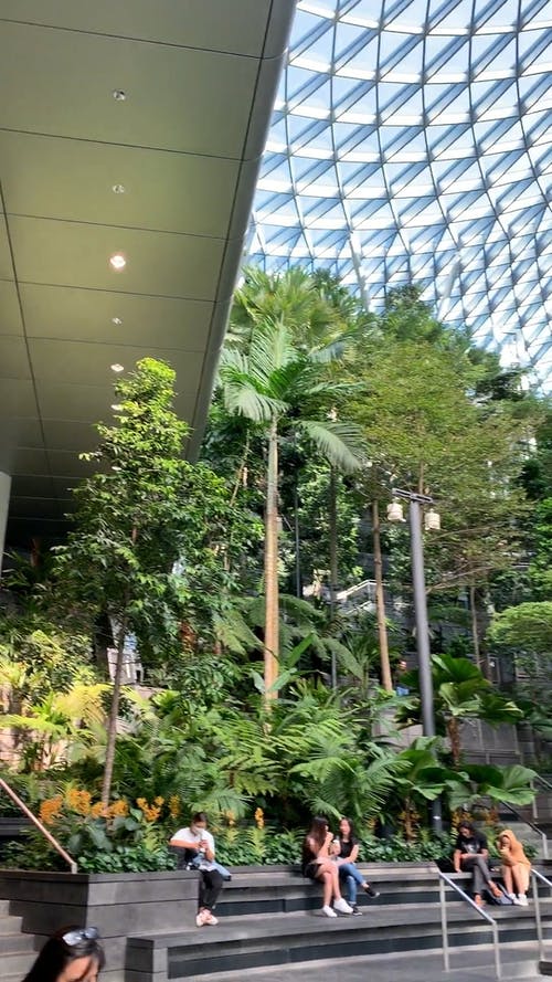 有关＃室内, 人们在说话, 光的免费素材视频