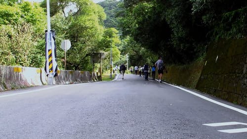 有关冒险, 固定镜头, 天性的免费素材视频