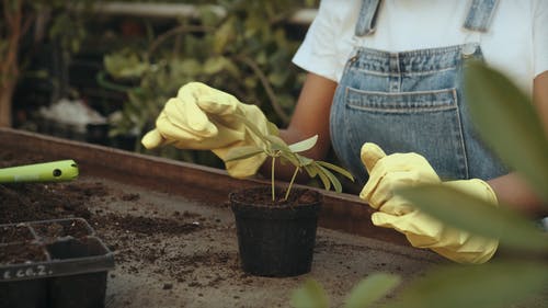 有关保重, 土, 女性的免费素材视频