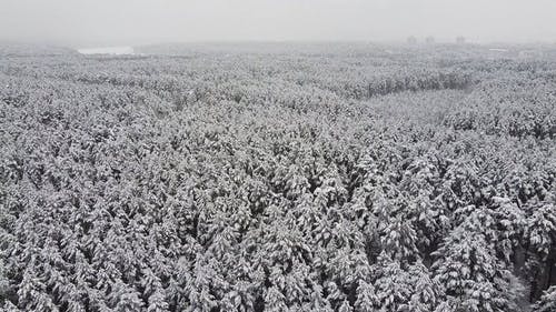 有关下雪的, 冬季, 冷的免费素材视频