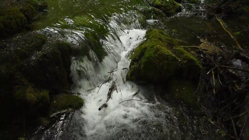 有关天性, 急流, 户外的免费素材视频