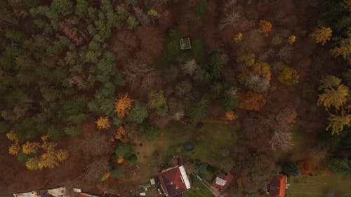 有关倾斜射击, 天性, 户外的免费素材视频