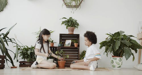 有关一起, 在地上, 室内的免费素材视频