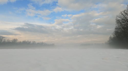 有关下雪的, 公园, 冬季的免费素材视频