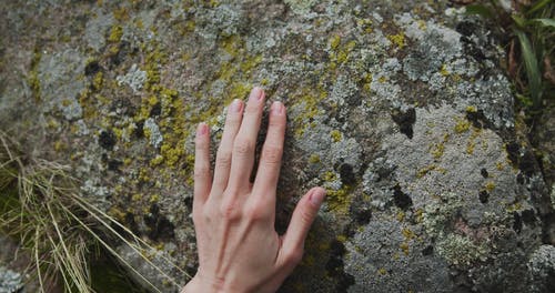 有关冒险, 卡累利阿, 地质学的免费素材视频