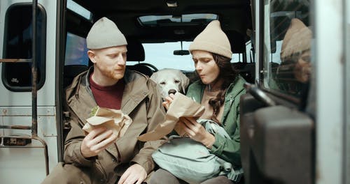 有关一对, 三明治, 享受的免费素材视频