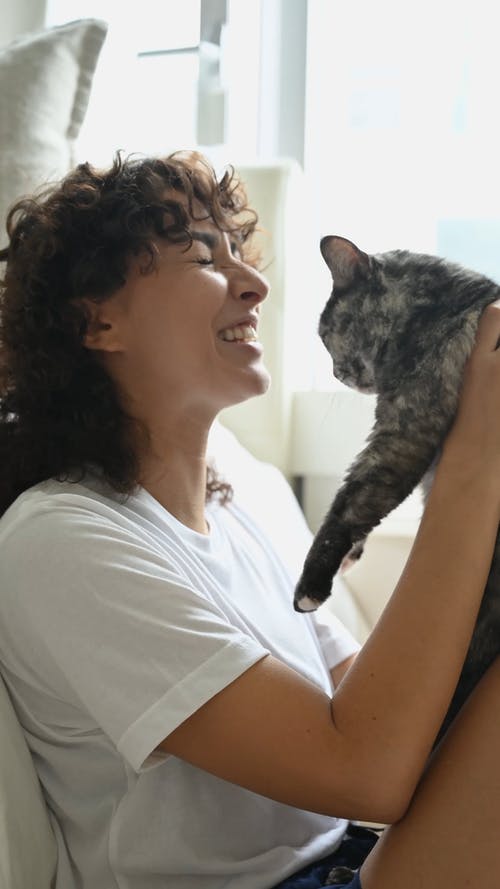 有关吻, 在家, 垂直视频的免费素材视频